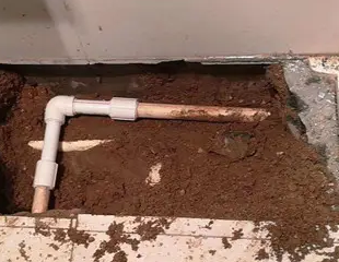 鄂州测漏水哪家好