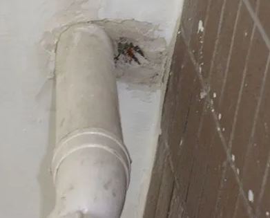 鄂州漏水检测哪家好